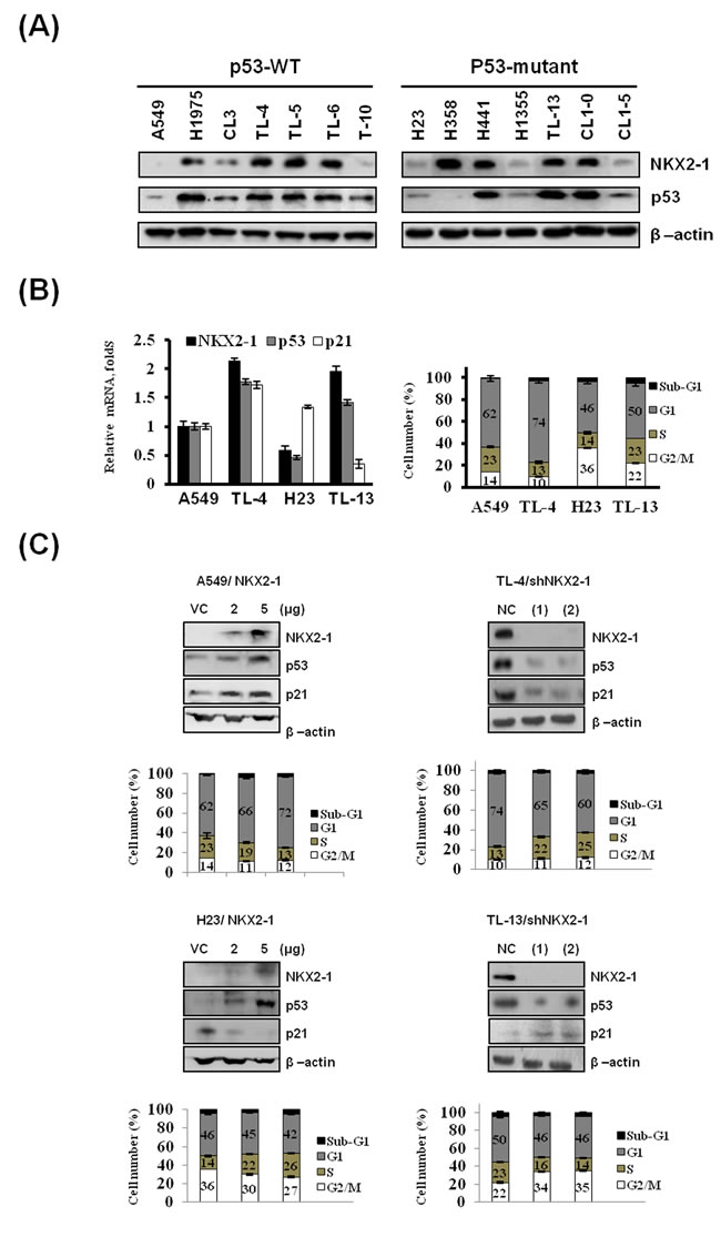 fig1