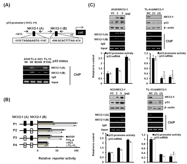 fig2