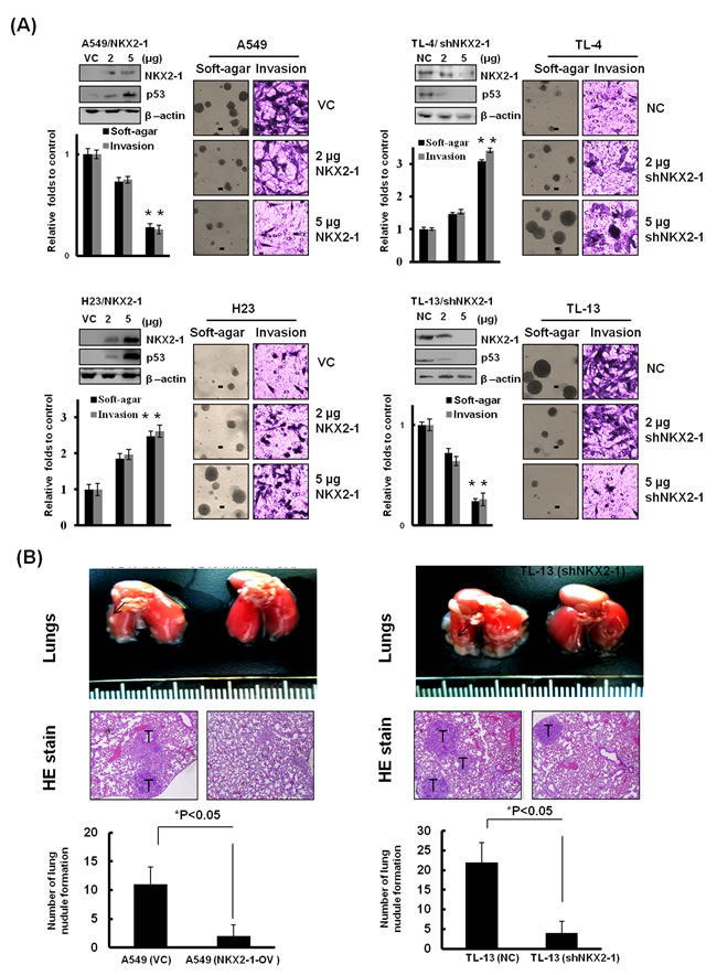 fig3