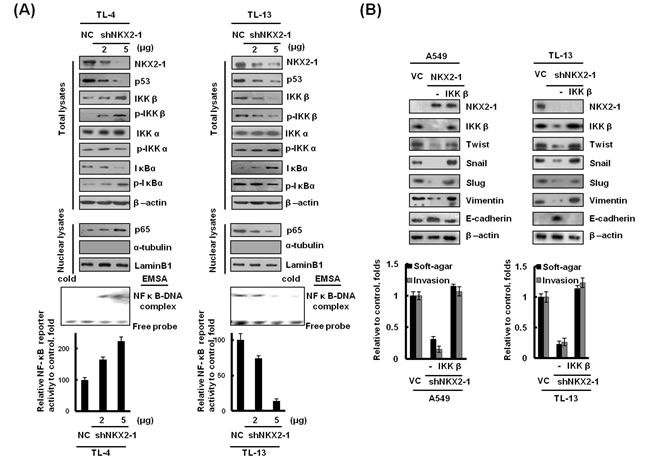 fig4