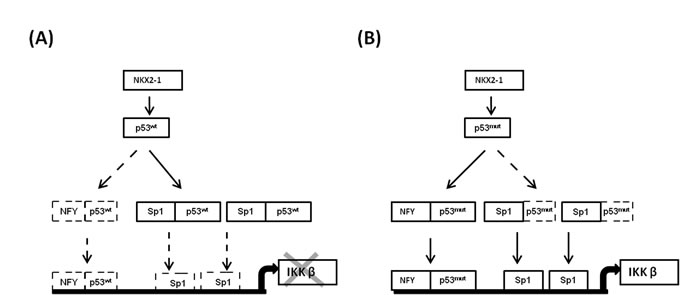 fig6