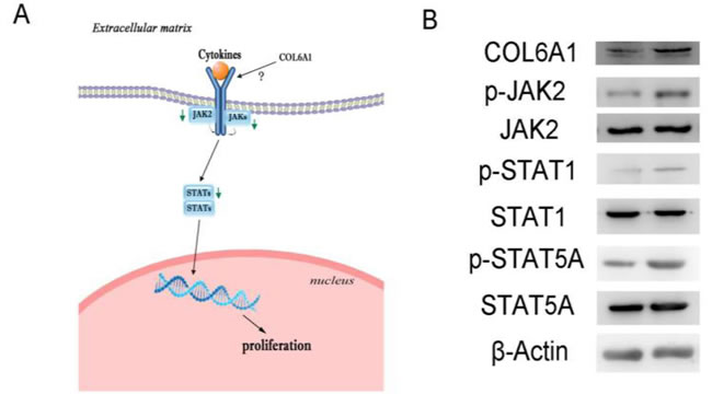 fig4
