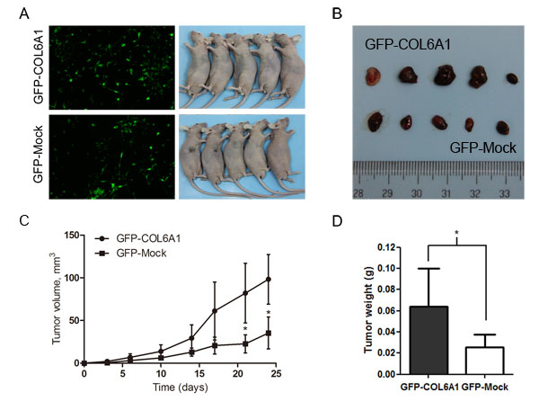 fig3