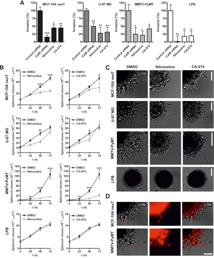 fig3
