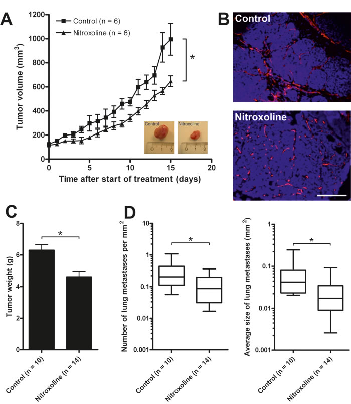 fig6