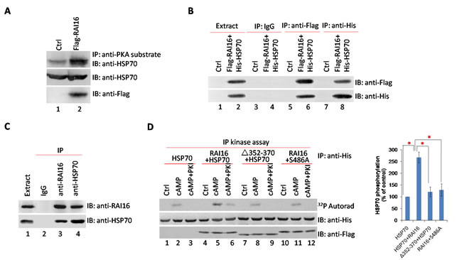 fig2