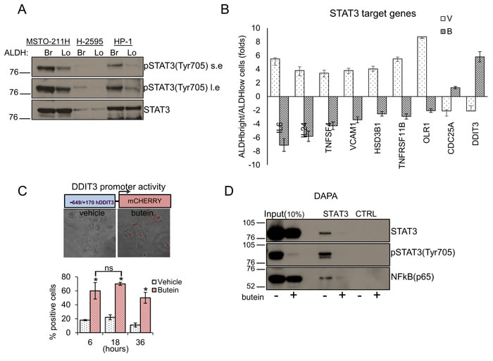 fig3a