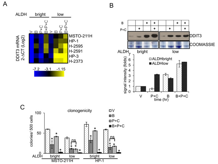 fig4