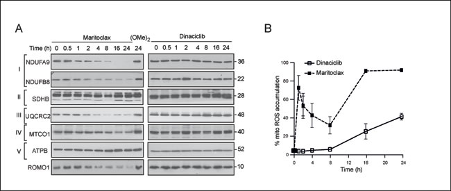 fig5