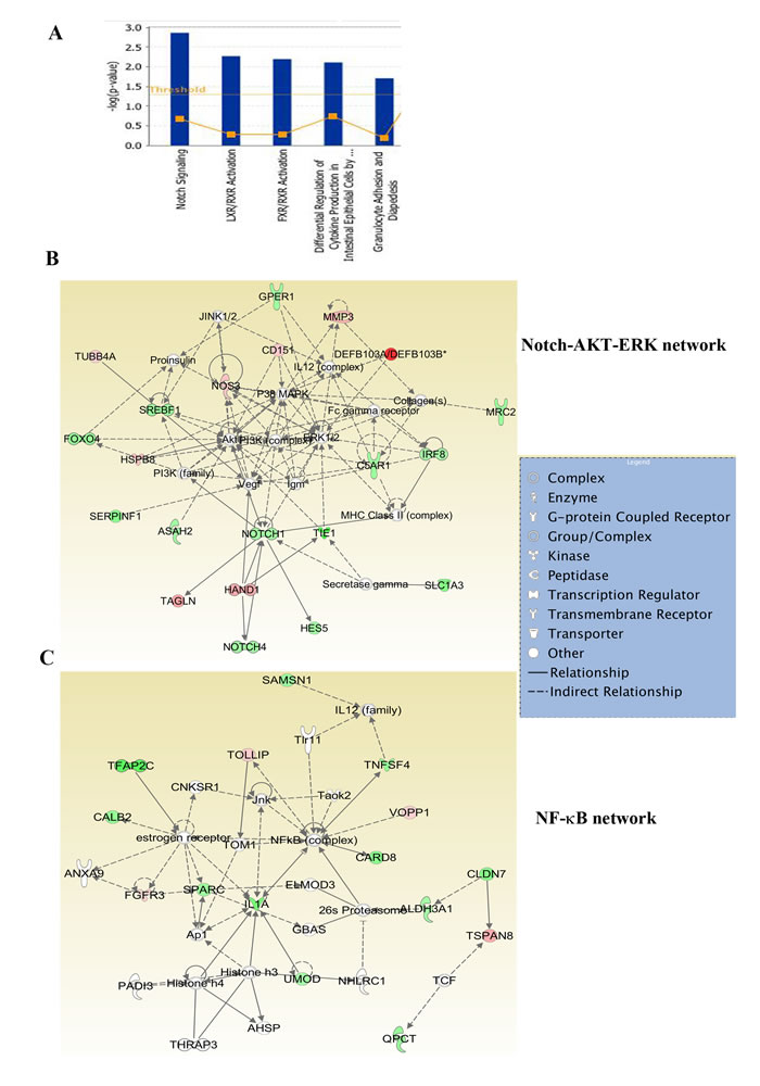 fig4