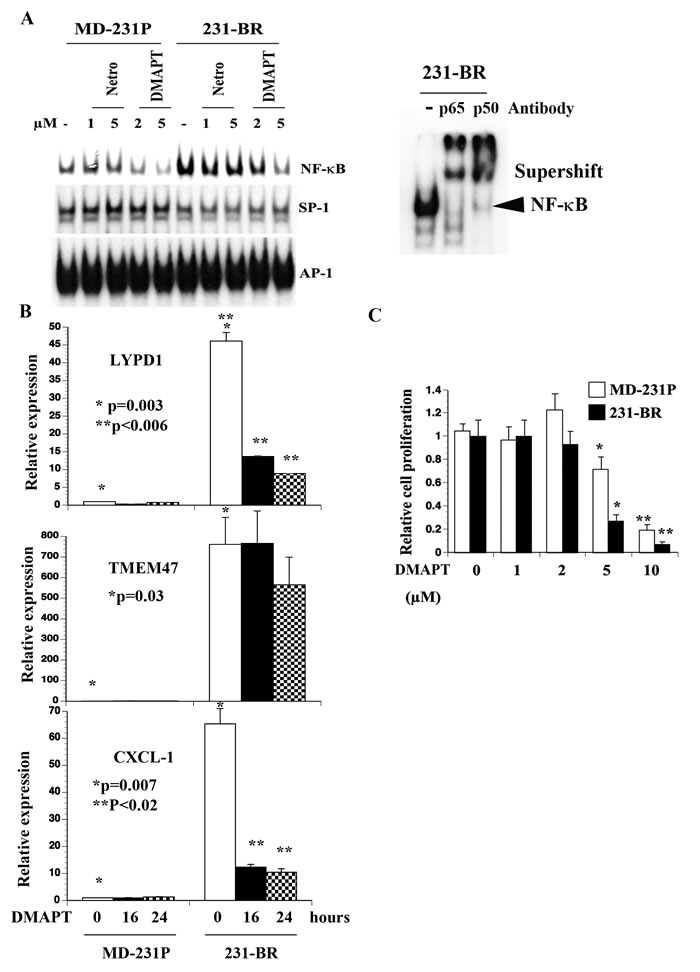fig5