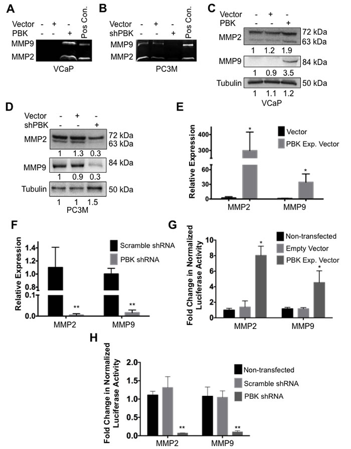 fig3