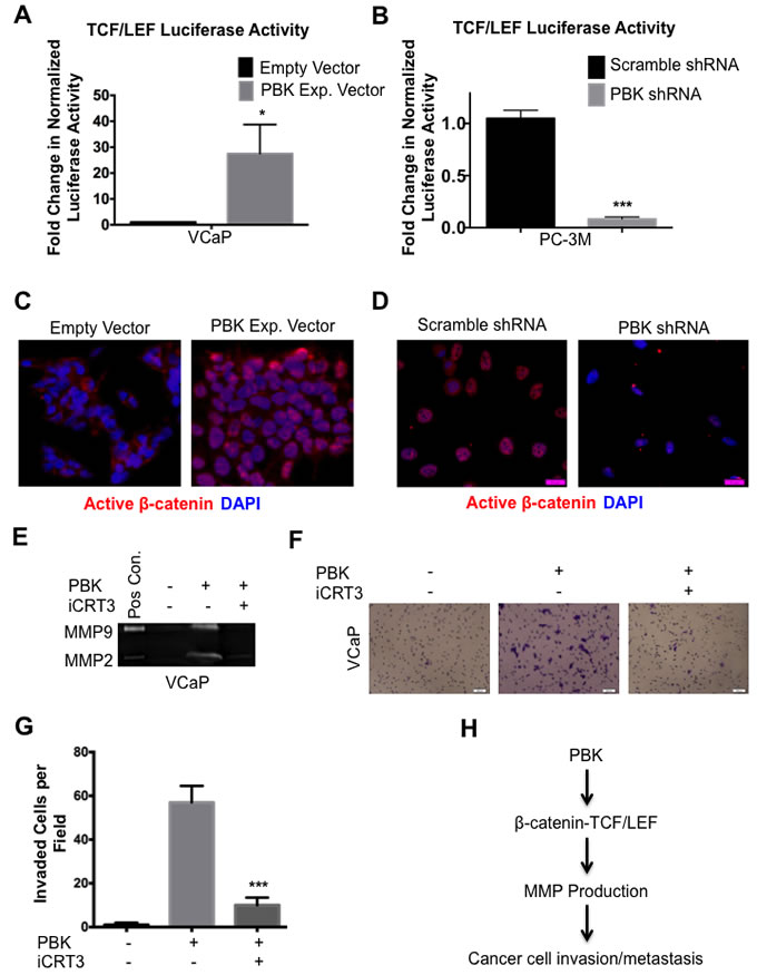 fig4