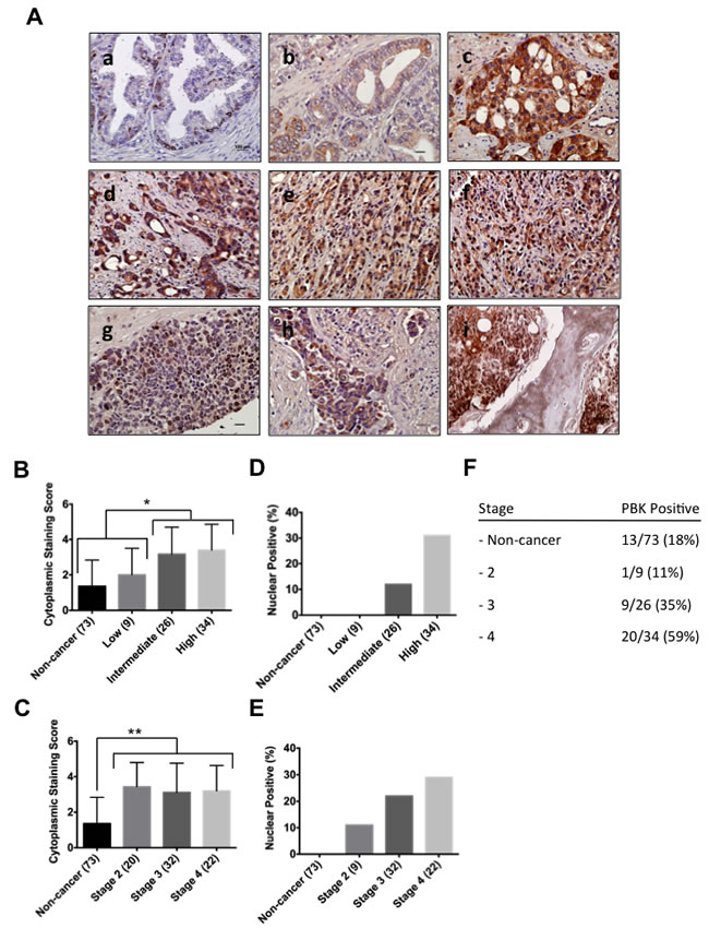 fig6