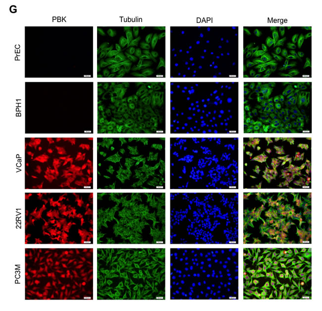 fig6a