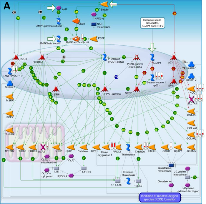 fig3a