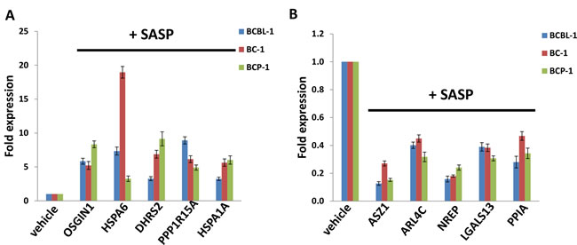 fig4