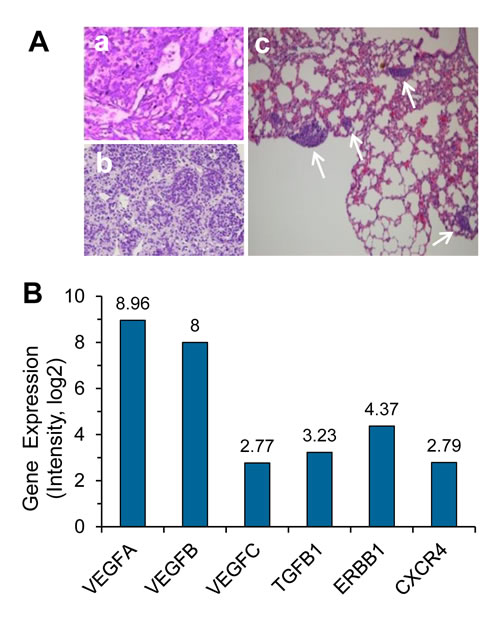 fig1