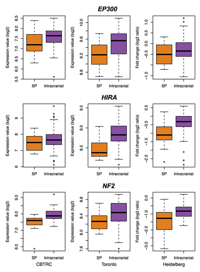 fig3b