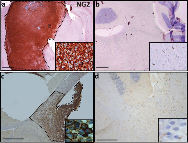 fig2