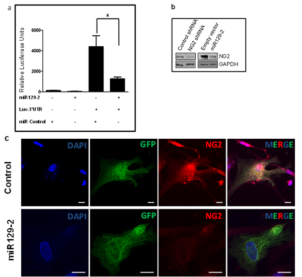 fig3a