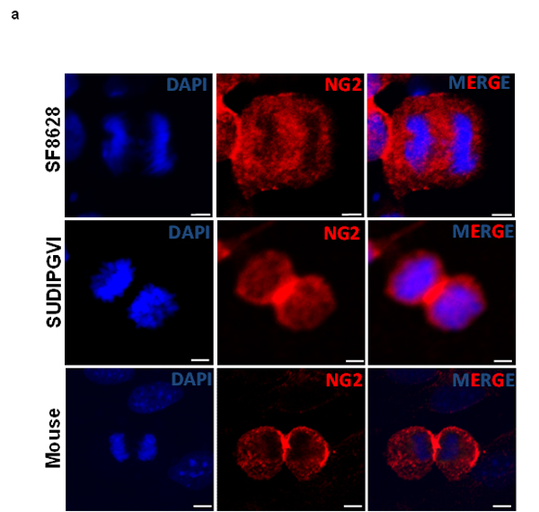fig4a