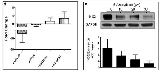 fig3b