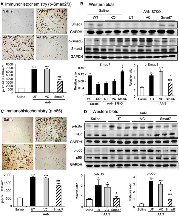 fig6