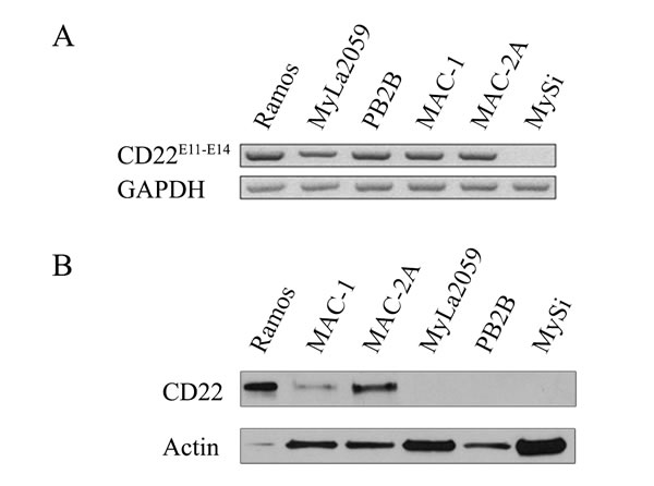 fig1a