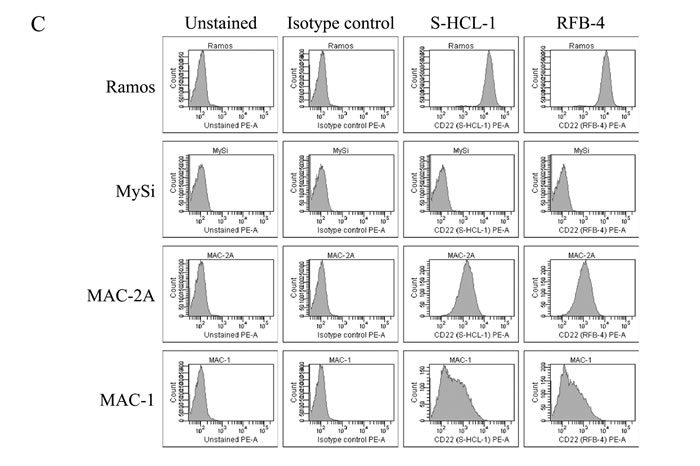 fig1b