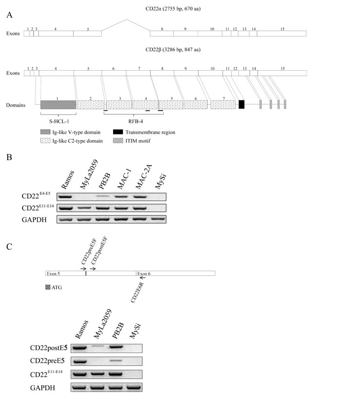 fig2