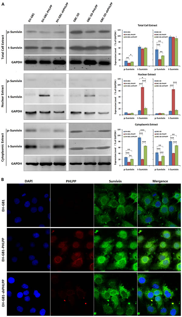 fig3