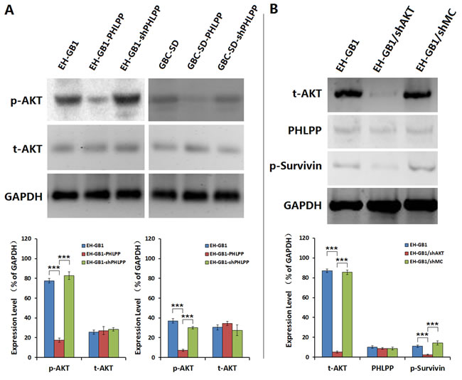 fig4
