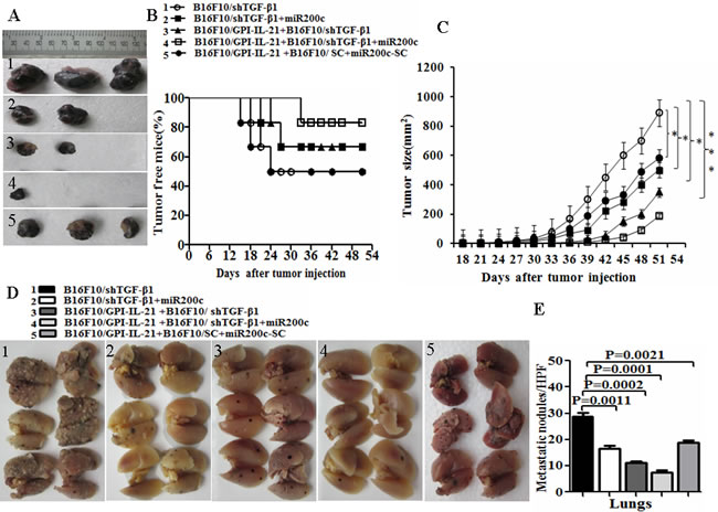 fig5