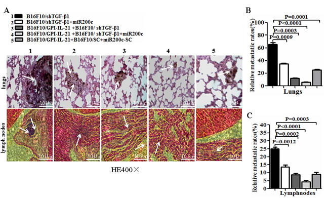 fig6