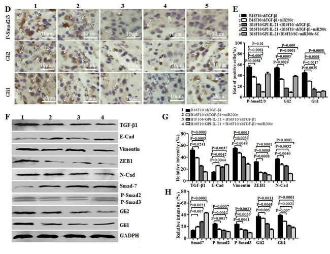 fig7b