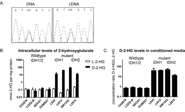 FIG1