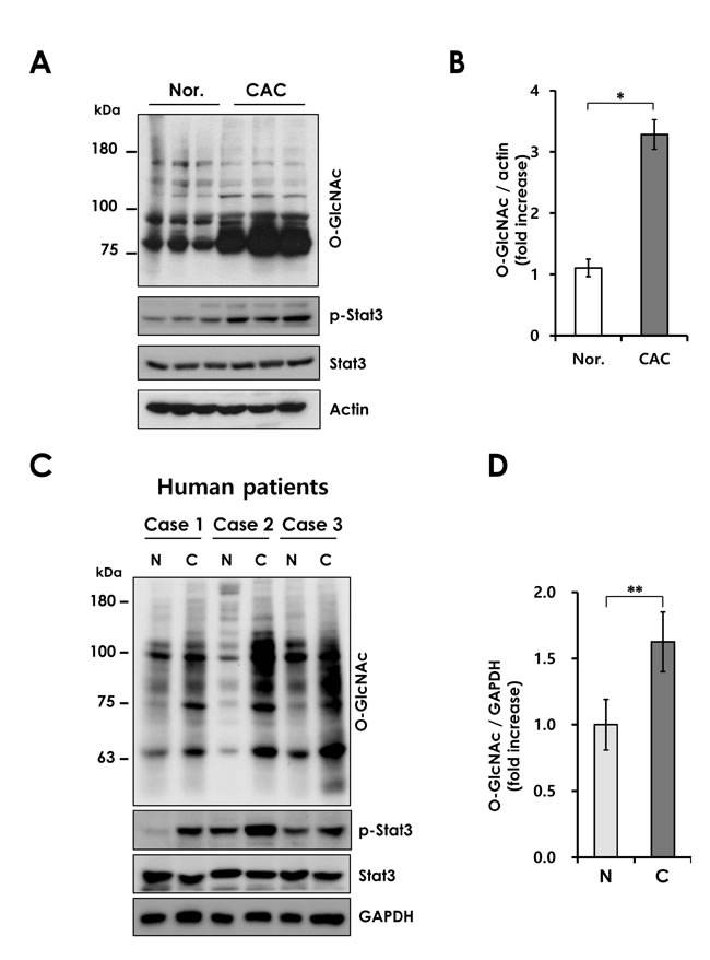 fig2