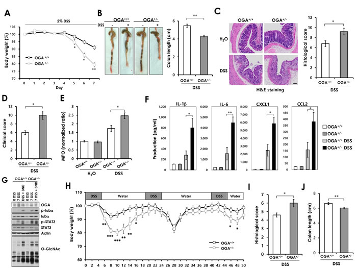 fig3