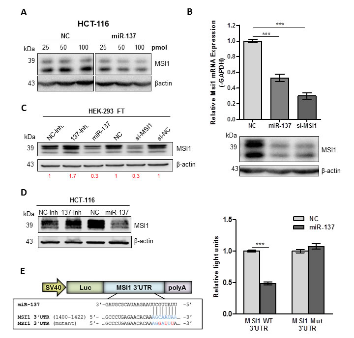 fig2