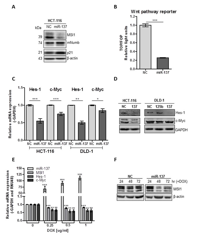 fig3
