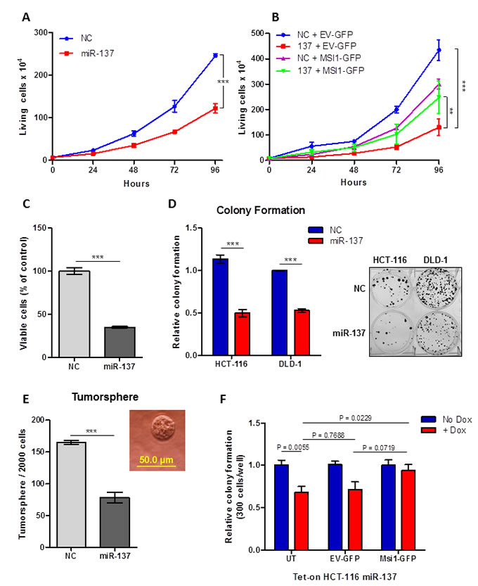 fig4