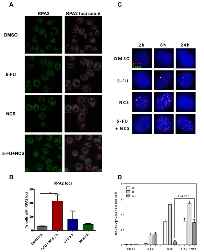 fig3