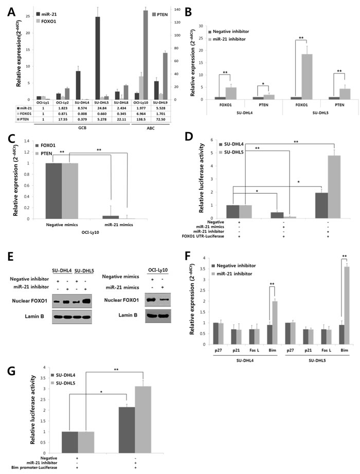 fig2