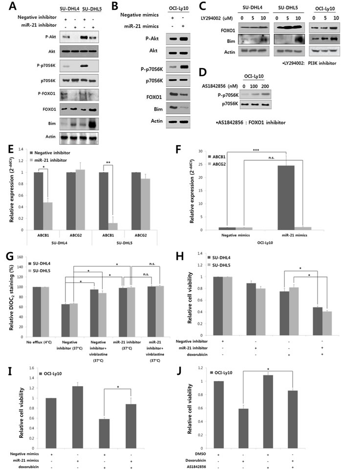 fig3