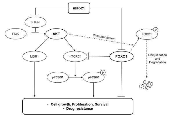 fig4