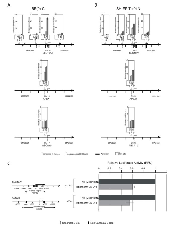 fig4