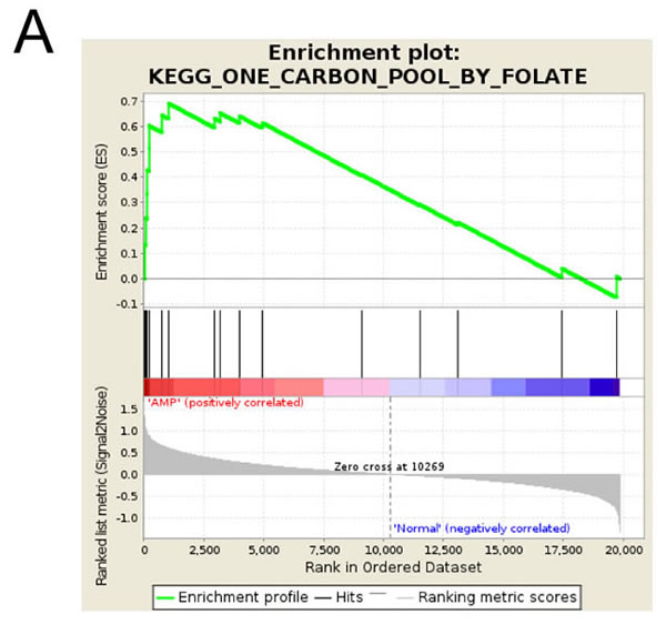 fig1a
