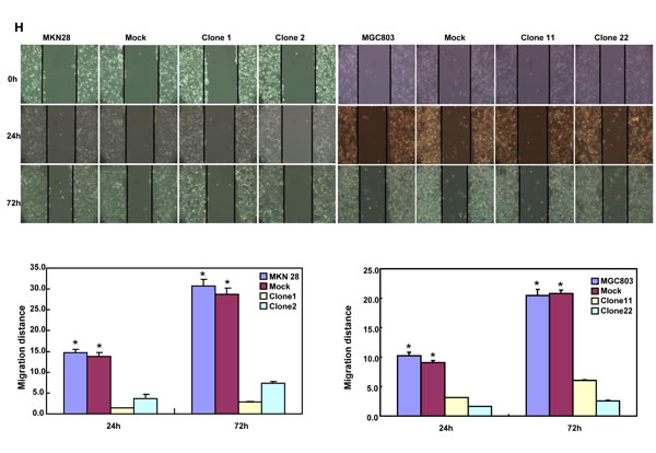fig2e