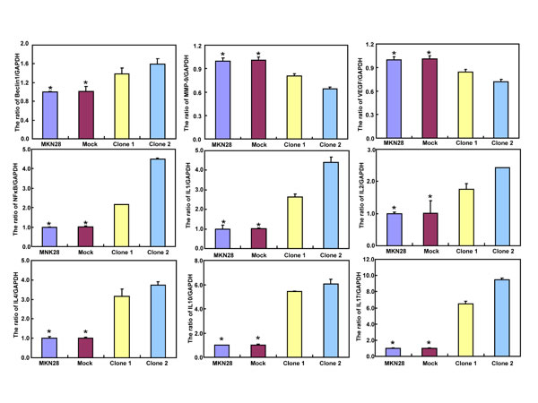 fig2l